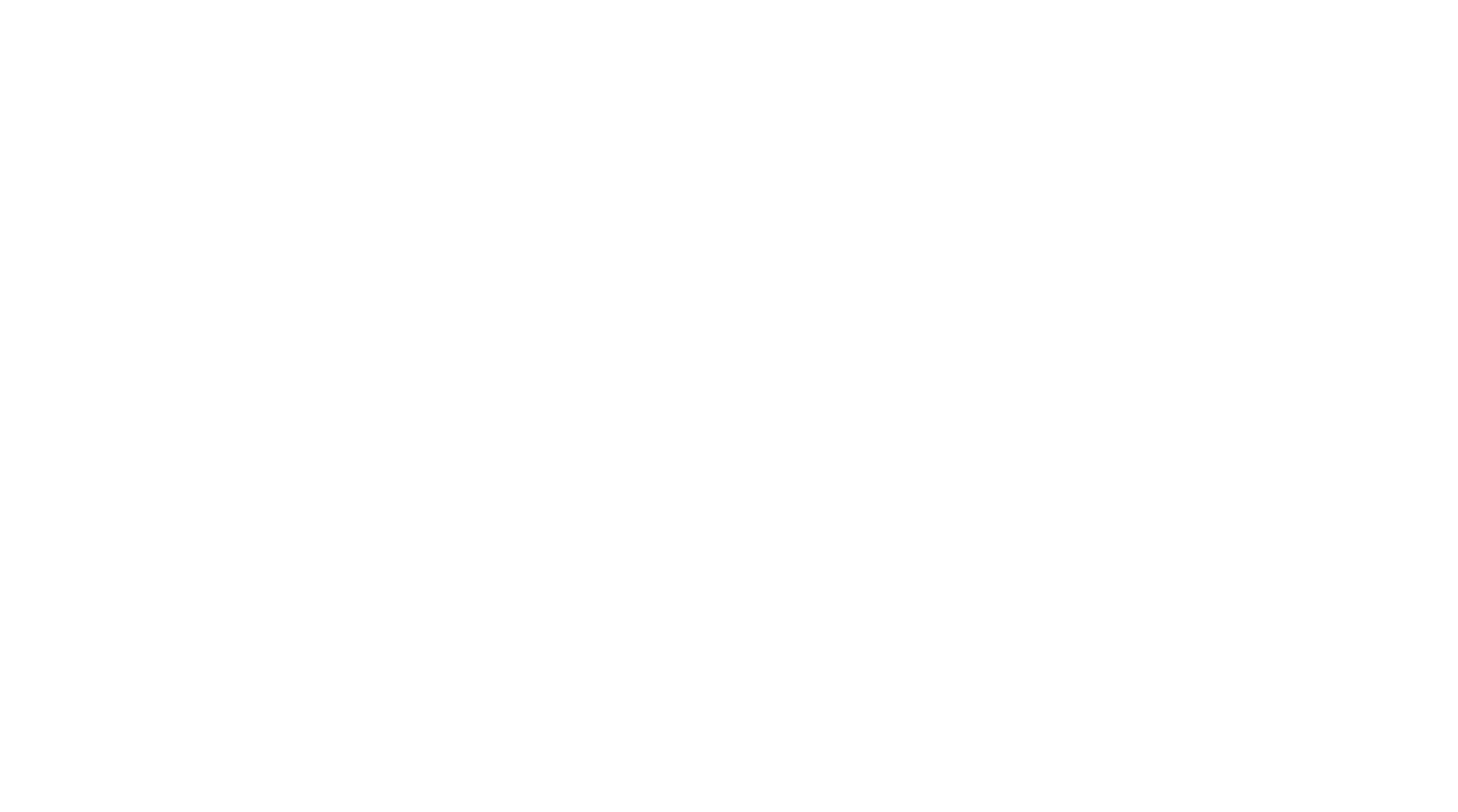 NC - Logo - White